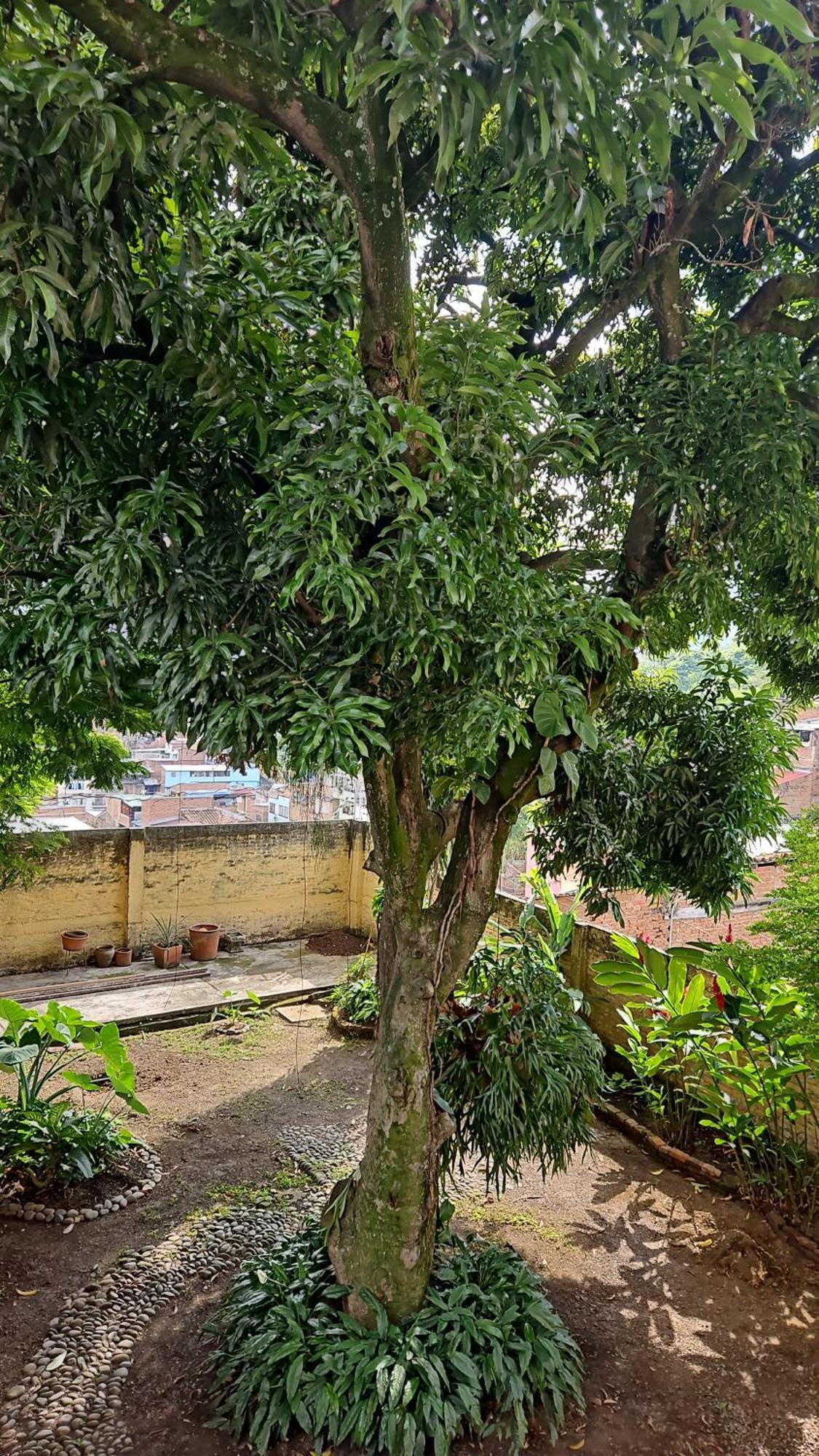 Casa Alba Hotel Cali Ngoại thất bức ảnh